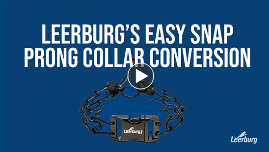 Video:Leerburg's Small Prong Easy Snap Collar Conversion&nbsp;