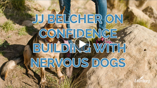Video:JJ Belcher on Confidence Building with Nervous Dogs