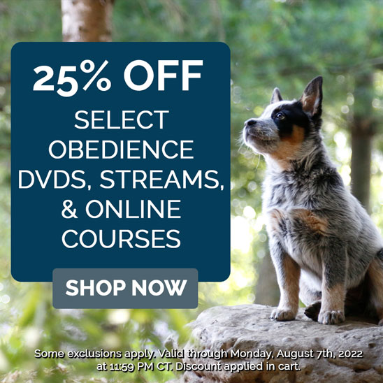 25% OFF on Select Obedience Training