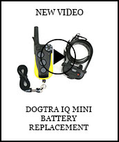 Dogtra IQ Mini Battery Replacement