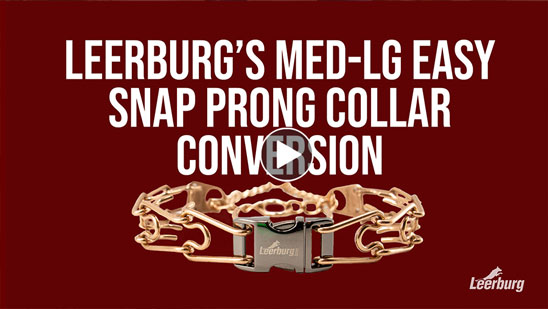 Video: Leerburg Medium-Large Easy Snap Prong Collar Conversion