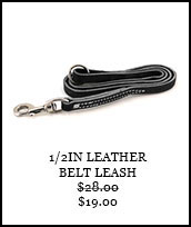1/2in Leather Belt Leash