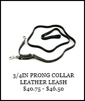 3/4in Leather Prong Collar Leash