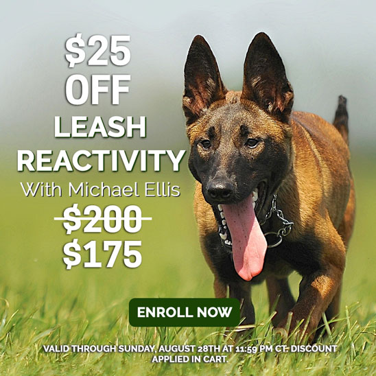 $25 OFF on Leash Reactivity with Michael Ellis