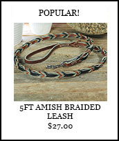 Popular! 5ft Braided Leather Leash