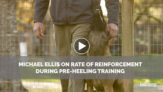 Video: Michael Ellis on Rate of Reinforcement During Pre-Heeling Training
