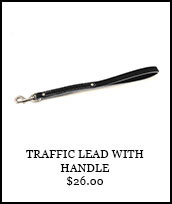 Traffic Lead