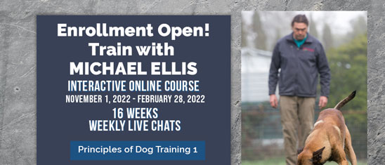 Principles of Dog Training 1