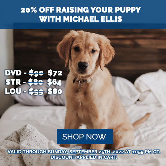 20% OFF on Raising Your Puppy with Michael Ellis DVD, stream, and Online Course. 