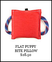Flat Puppy Bite Pillow
