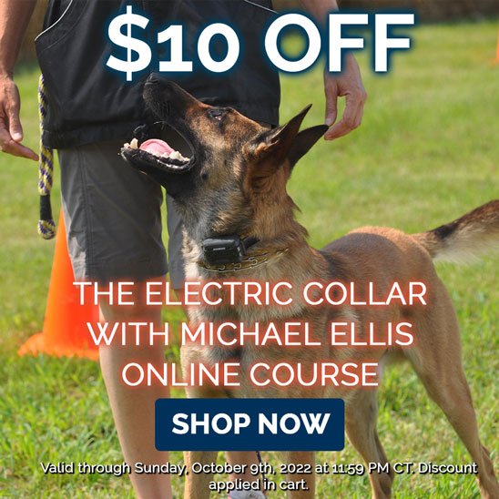 $10 OFF on The Electric Collar Training with Michael Ellis Online Course