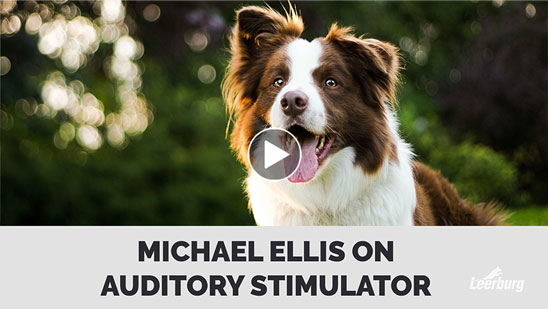 Video: Michael Ellis on Auditory Stimulator