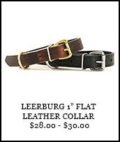 1in Flat Leather Collar