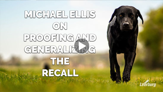 Video: Michael Ellis on Proofing and Generalizing The Recall