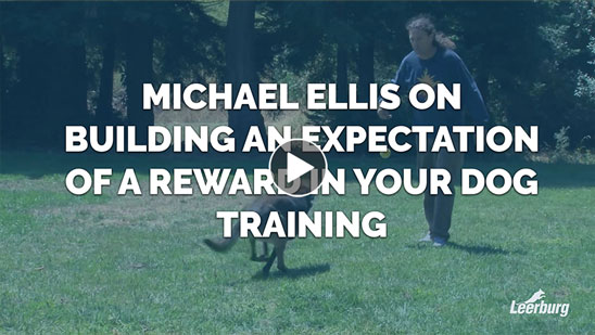 Video: Michael Ellis on Building An Expectation of A Reward in Your Dog Training