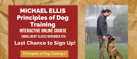 Principles of Dog Training 1