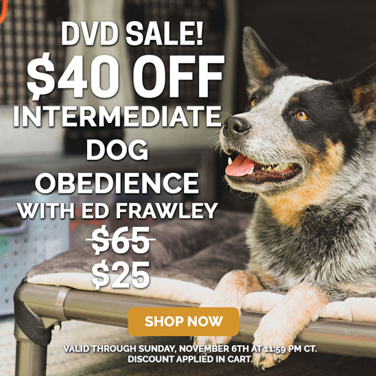 $40 OFF on Intermediate Dog Obedience DVD