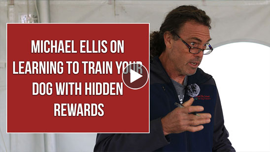 Video: Michael Ellis on Learning to Train Your Dog with Hidden Rewards
