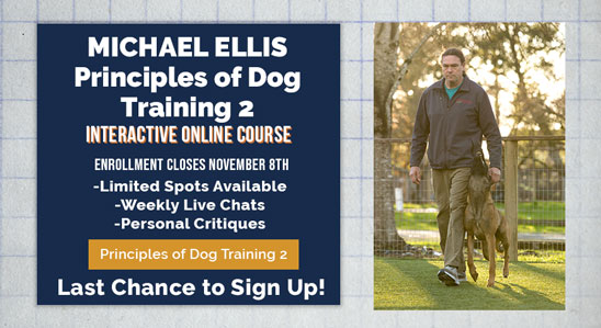 Principles of Dog Training 2