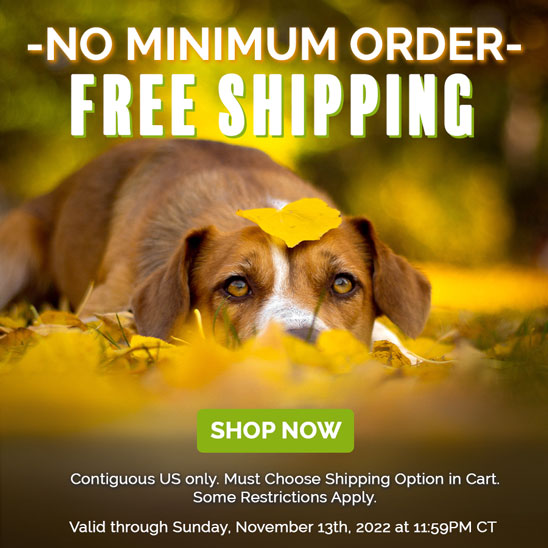 Free Shipping - No Minimum Order