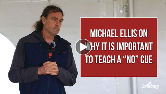 Video: Michael Ellis on Why It Is Important to Teach a No Cue