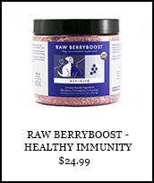 Raw Berry Boost - Healthy Immunity