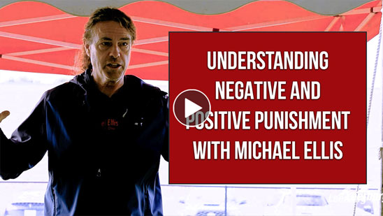 Video: Understanding Negative and Positive Punishment with Michael Ellis