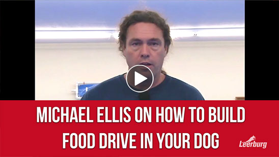Video: Michael Ellis on How to Build Food Drive in Dogs