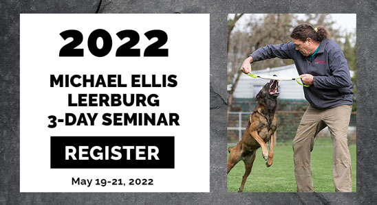 Michael Ellis Seminar