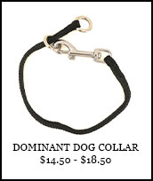 Dominant Dog Collar