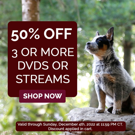 50% off 3 or more DVD/Streams through Sunday, December 4th, 2022 at 11:59 PM CT.