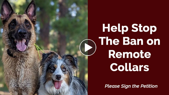 Video: Ethical Dog Trainers Against E-Collar Bans Petition