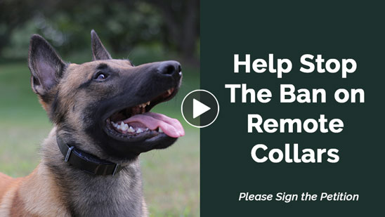 Video: Ethical Dog Trainers Against E-Collar Bans Petition