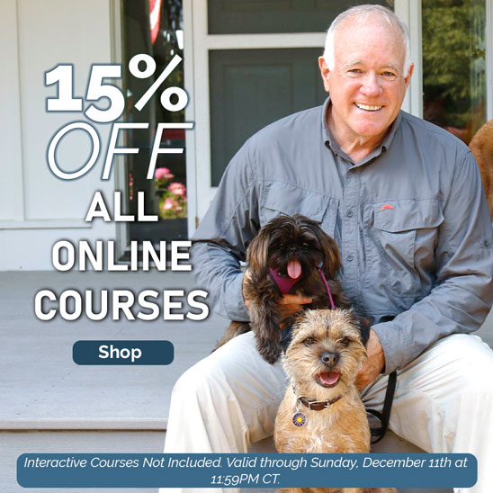 15% OFF on All Self Study Online Courses.