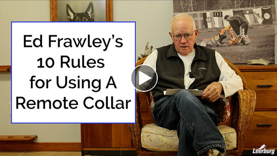 Video: Ed Frawley's 10 Rules for Using A Remote Collar