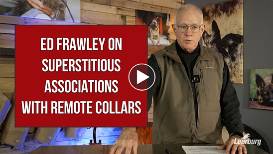 Video: Ed Frawley on Superstitious Associations with Remote Collars