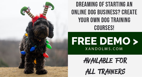 Start your own online learning business with Xando LMS.