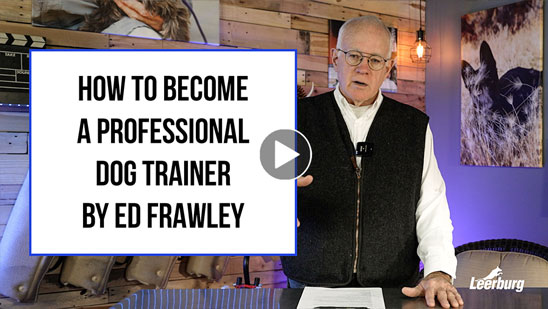 Video: Ed Frawley on Superstitious Associations with Remote Collars