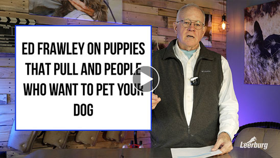 Video: Ed Frawley on Puppies That Pull and People Who Want to Pet Your Dog