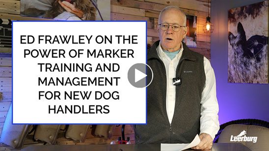 Video: Ed Frawley on The Power of Marker Training and Management for New Dog Handlers
