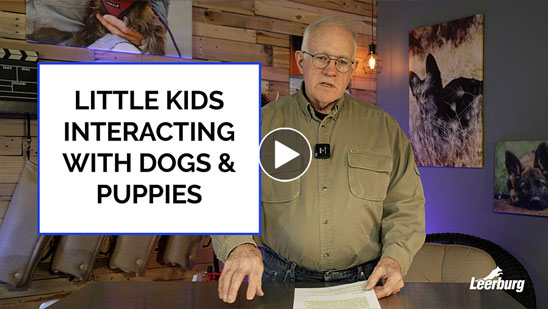 Video:Little Kids Interacting with Dogs &amp; Puppies