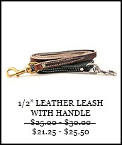 1/2in Leather Leash