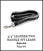 3/4in Leather Two Handle 6ft leash
