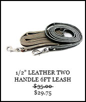 1/2in Leather Two Handle 6ft leash