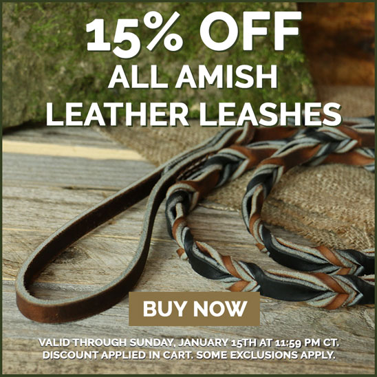 15% OFF on All Amish Leather Leashes