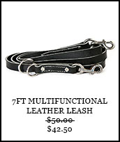 7ft Leerburg Multifunctional Leather Leash
