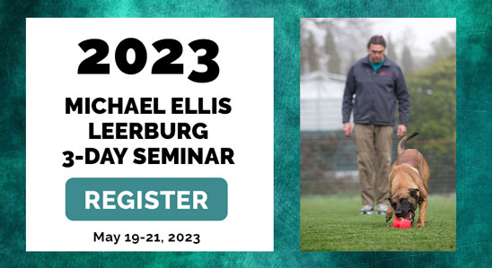 Michael Ellis Seminar