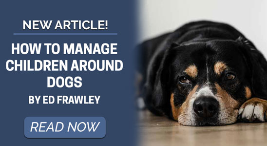 New Training Article - How to Manage Children Around Dogs