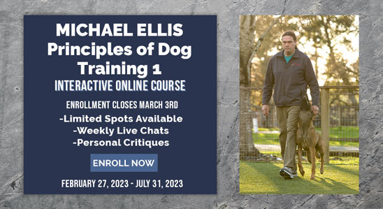 Michael Ellis Principles of Dog Training
