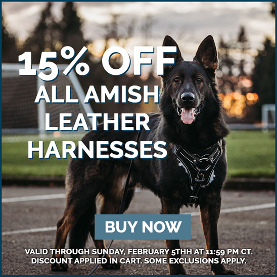 15% OFF on All Leather Harnesses